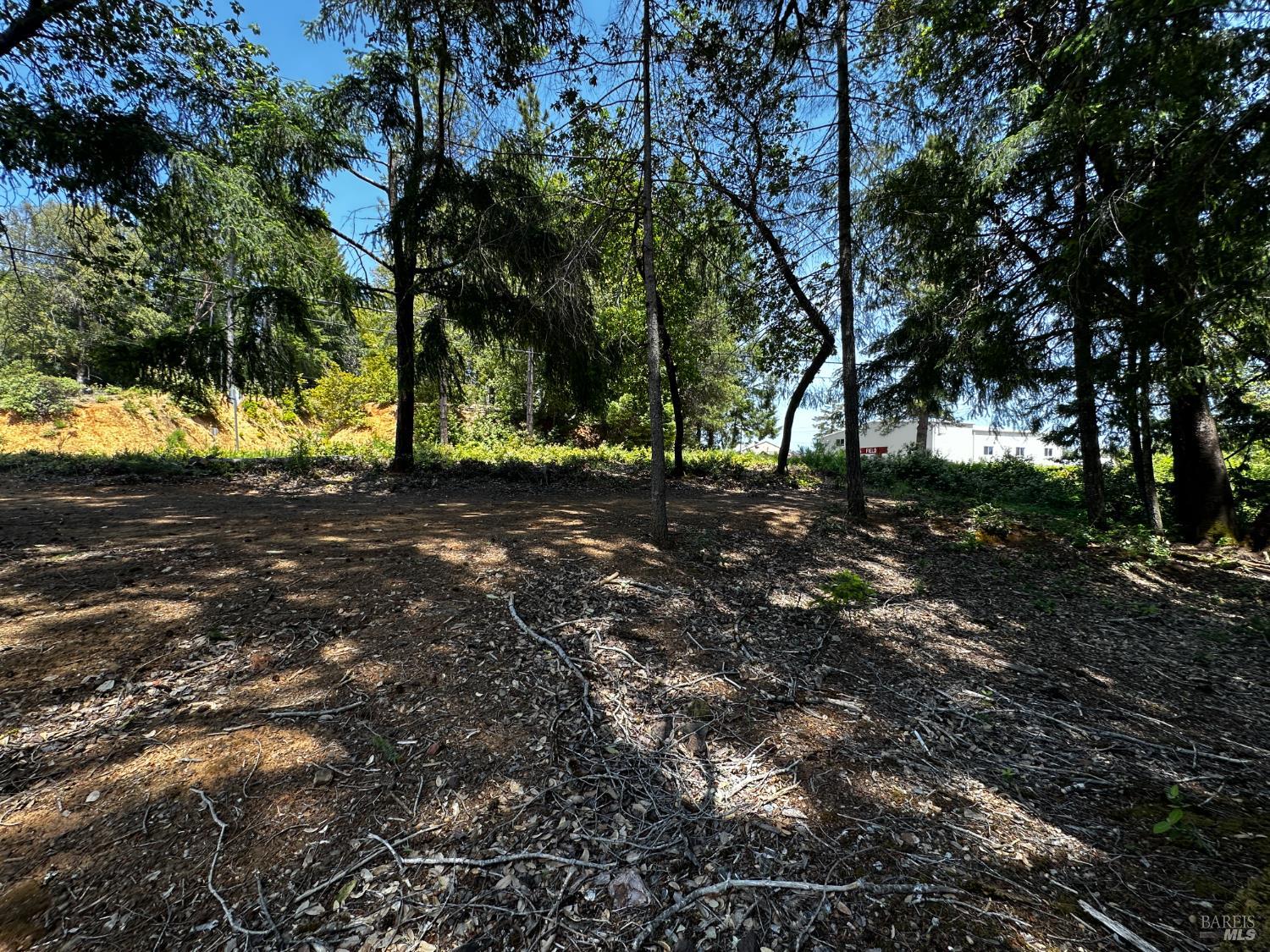 25895 Madrone Drive Willits CA 95490