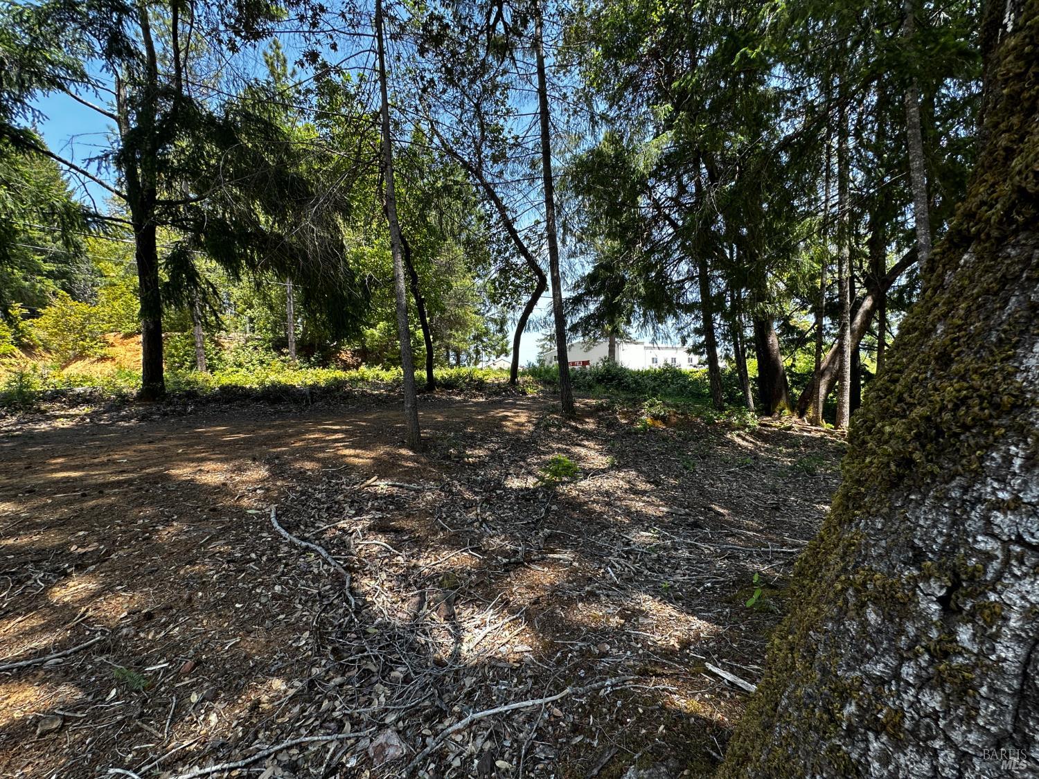 25895 Madrone Drive Willits CA 95490