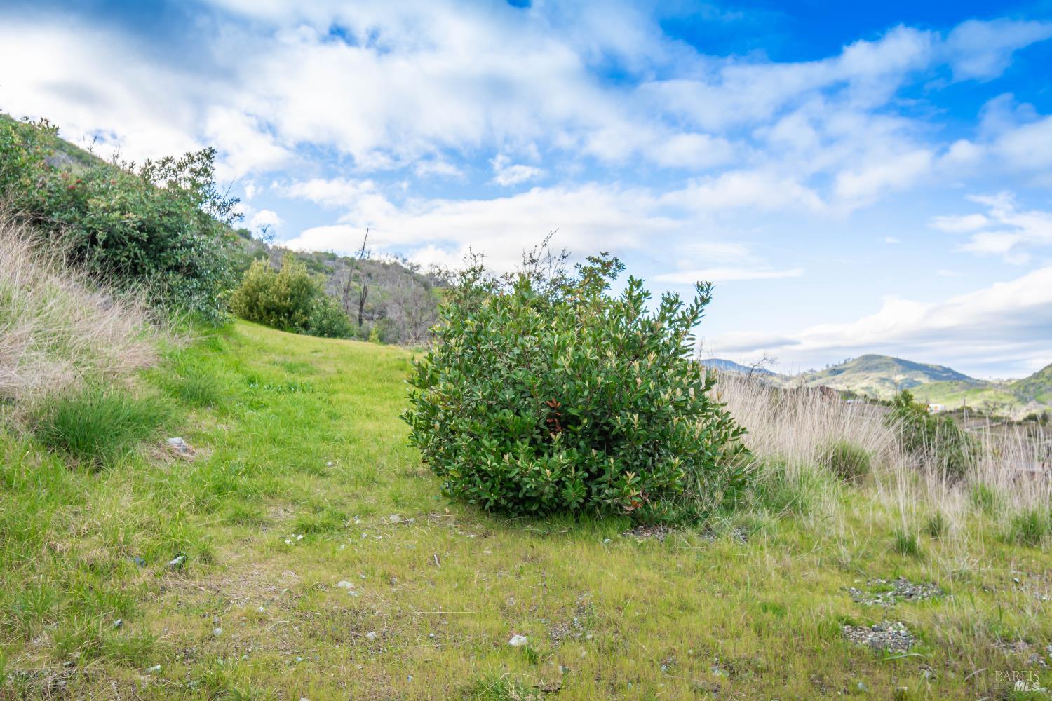 253 Mulford Drive Napa CA 94558