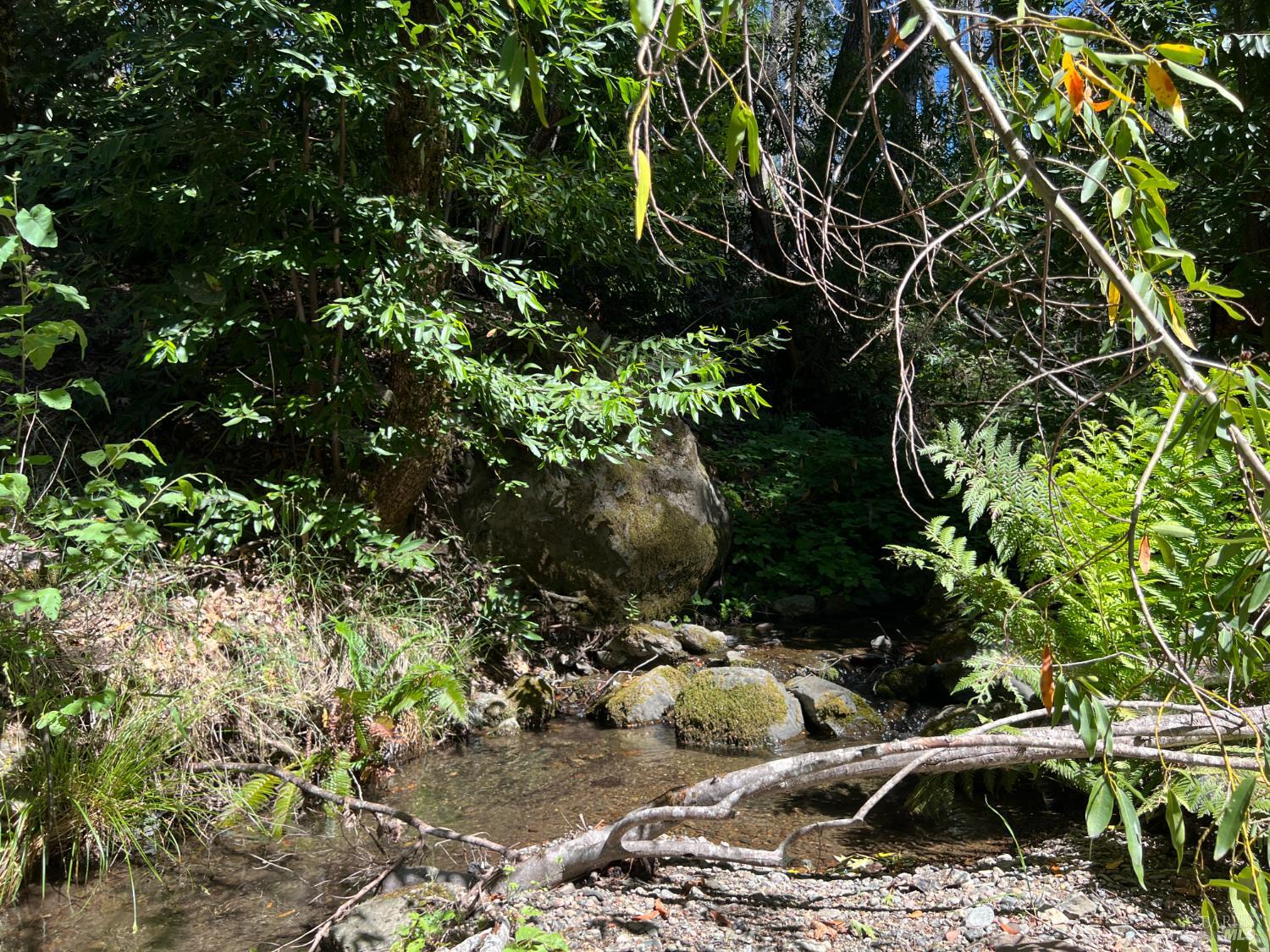 20925 Mid Mountain (17n17 Usfs) Road Upper Lake CA 95469