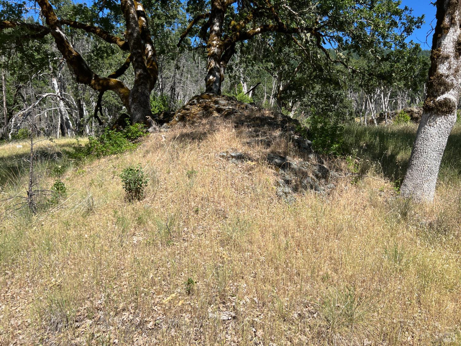 20925 Mid Mountain (17n17 Usfs) Road Upper Lake CA 95469
