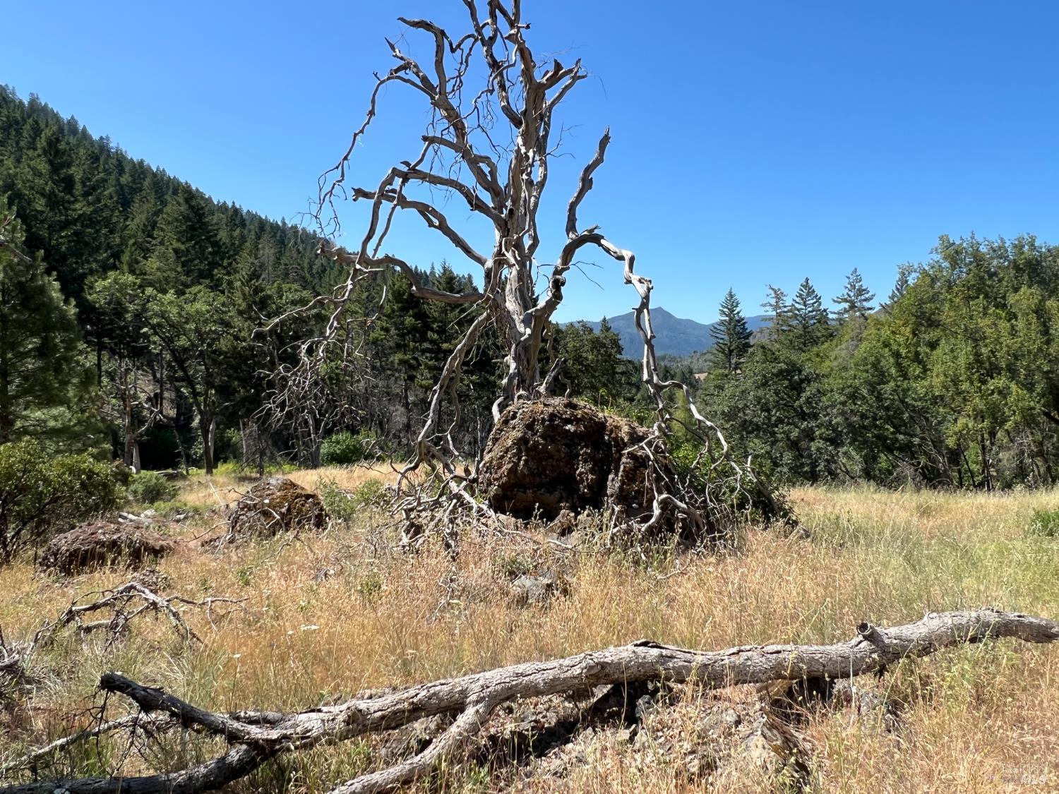 20925 Mid Mountain (17n17 Usfs) Road Upper Lake CA 95469