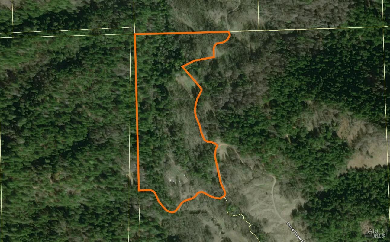 20925 Mid Mountain (17n17 Usfs) Road Upper Lake CA 95469