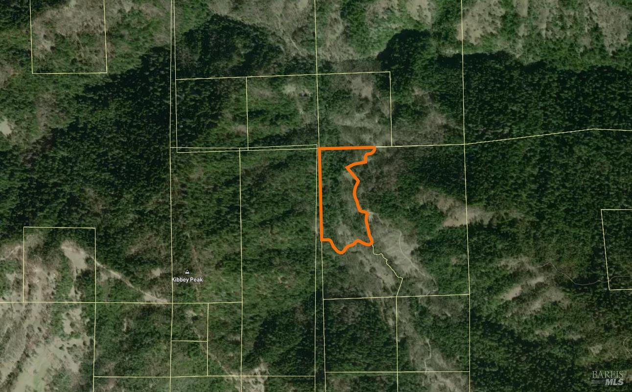 20925 Mid Mountain (17n17 Usfs) Road Upper Lake CA 95469