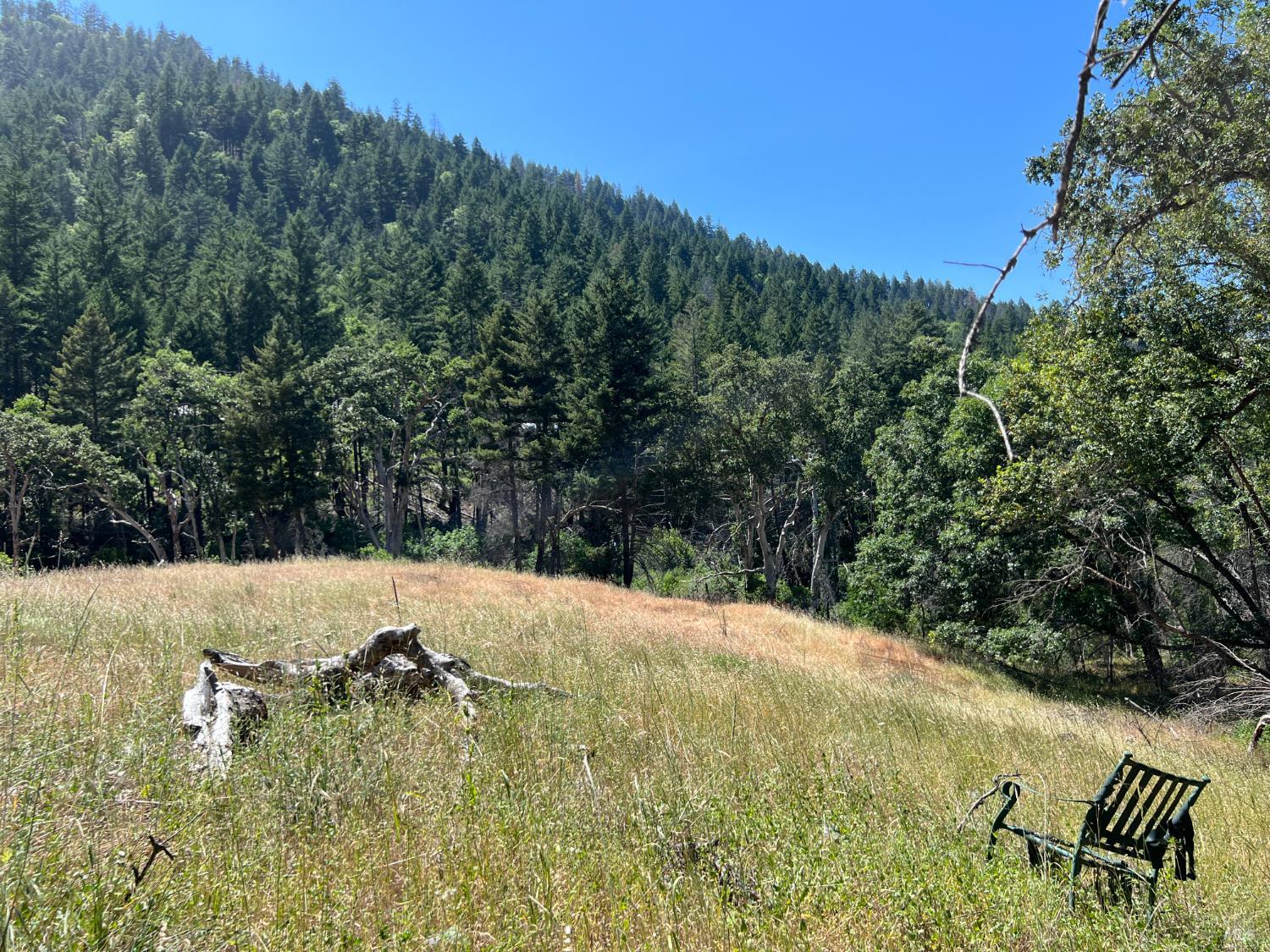 20925 Mid Mountain (17n17 Usfs) Road Upper Lake CA 95469