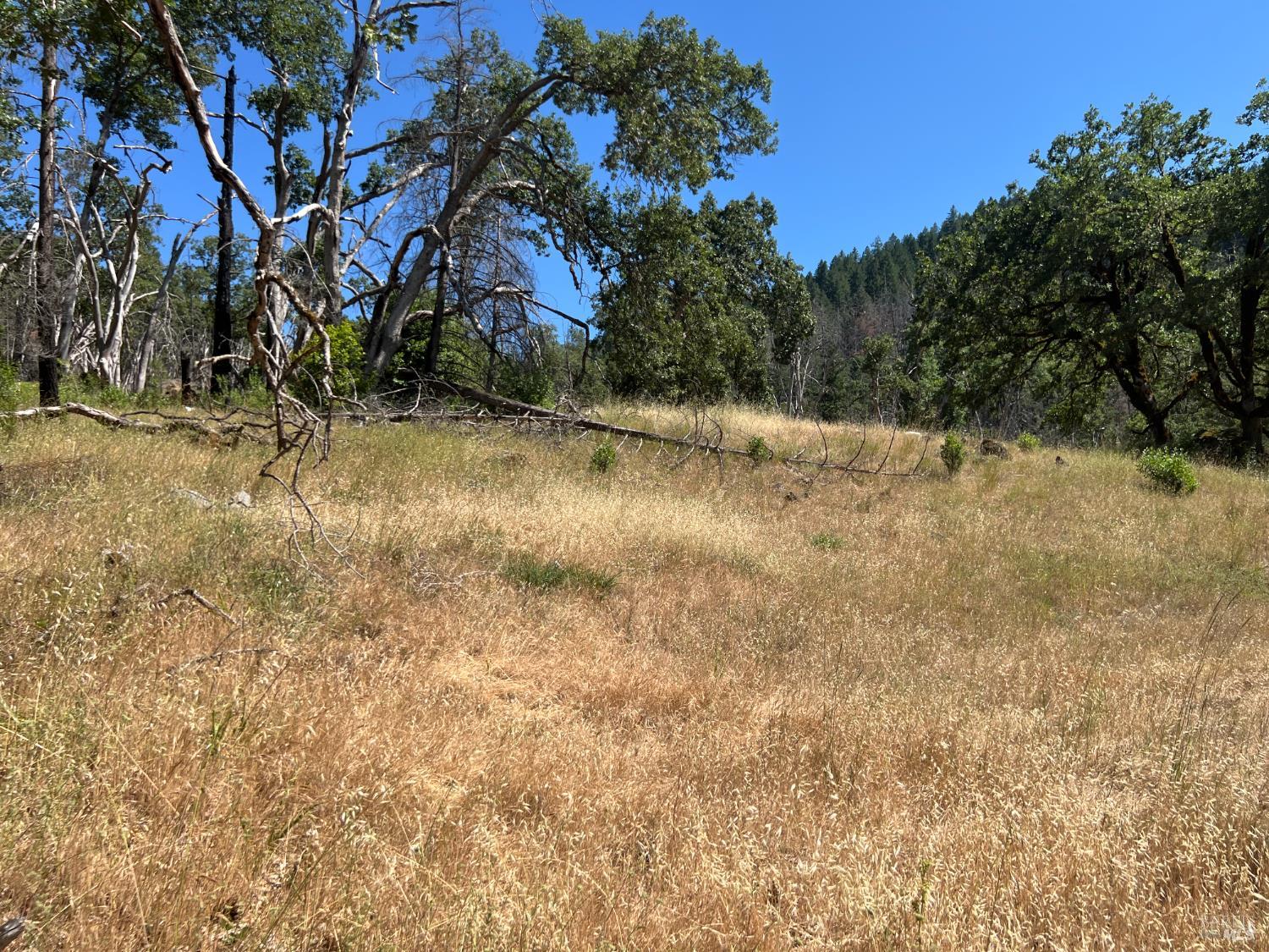 20925 Mid Mountain (17n17 Usfs) Road Upper Lake CA 95469