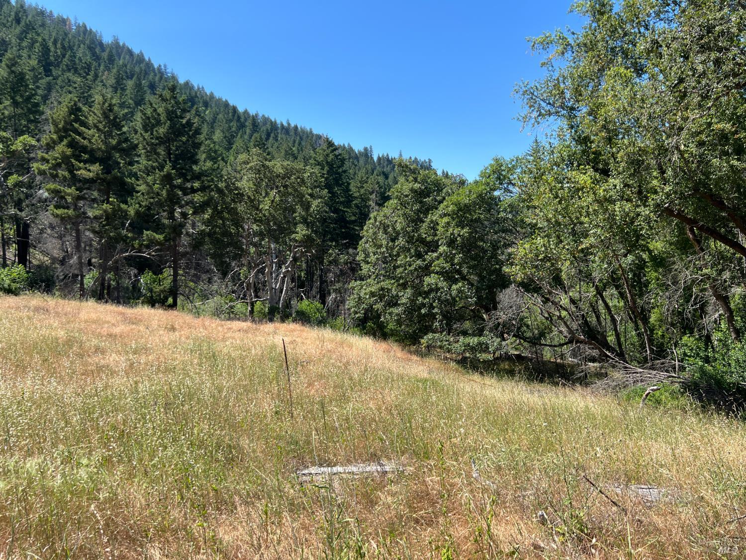 20925 Mid Mountain (17n17 Usfs) Road Upper Lake CA 95469