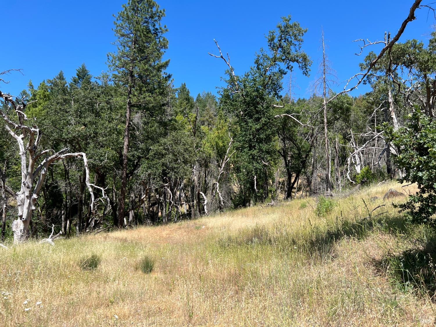 20925 Mid Mountain (17n17 Usfs) Road Upper Lake CA 95469