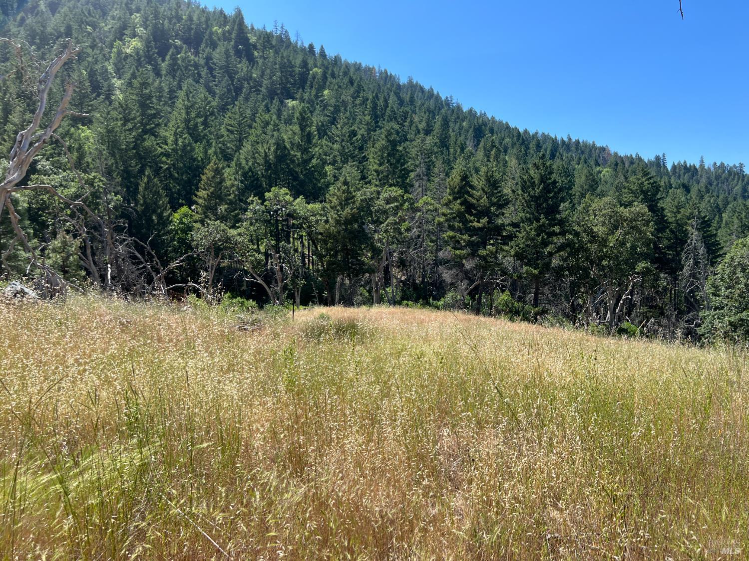 20925 Mid Mountain (17n17 Usfs) Road Upper Lake CA 95469