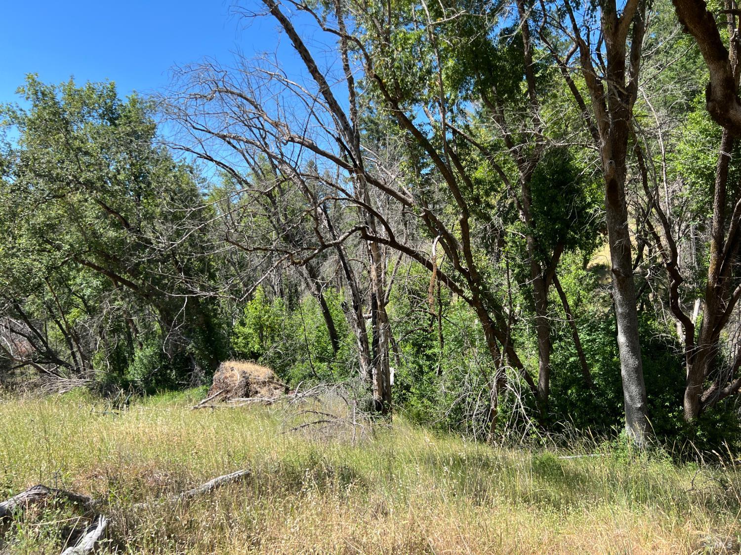 20925 Mid Mountain (17n17 Usfs) Road Upper Lake CA 95469
