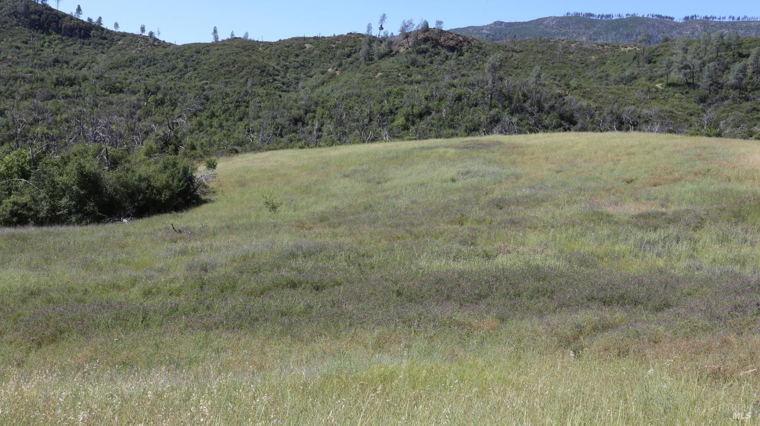 14130 Big Canyon Road Middletown CA 95461