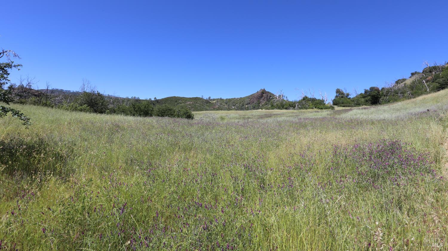 14130 Big Canyon Road Middletown CA 95461
