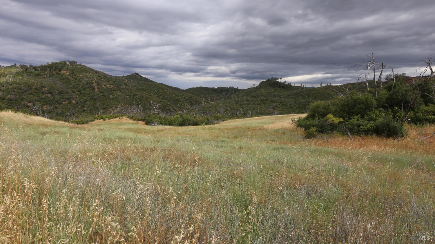 14130 Big Canyon Road Middletown CA 95461