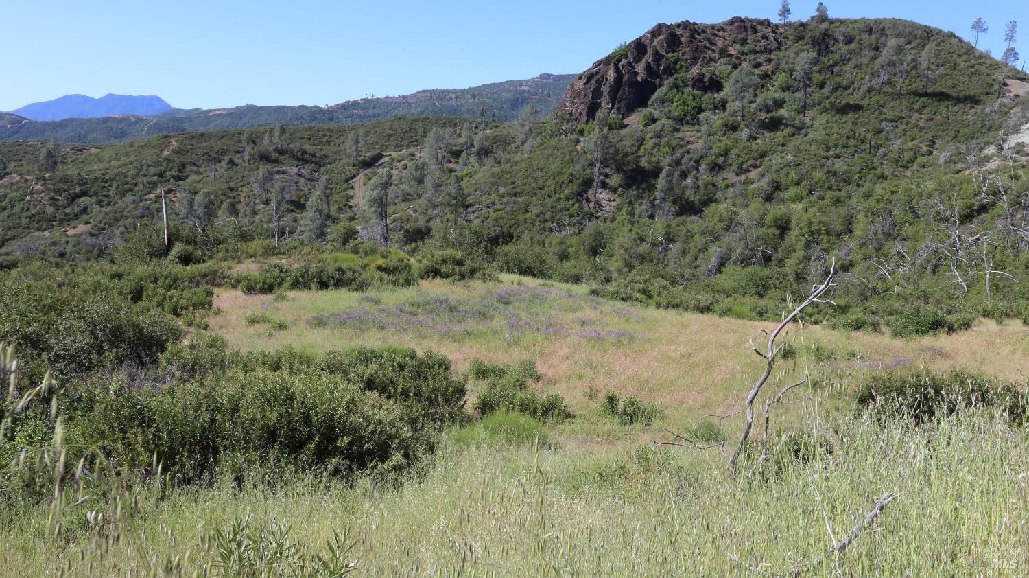 14130 Big Canyon Road Middletown CA 95461