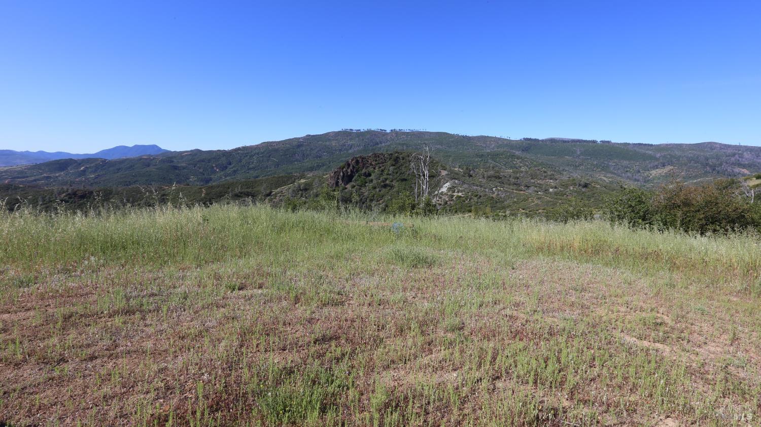 14130 Big Canyon Road Middletown CA 95461
