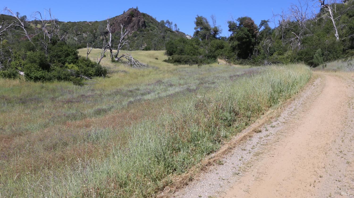 14130 Big Canyon Road Middletown CA 95461