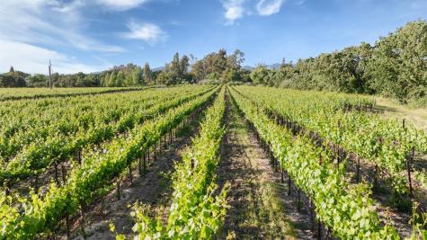 570 E Watmaugh Road Sonoma CA 95476