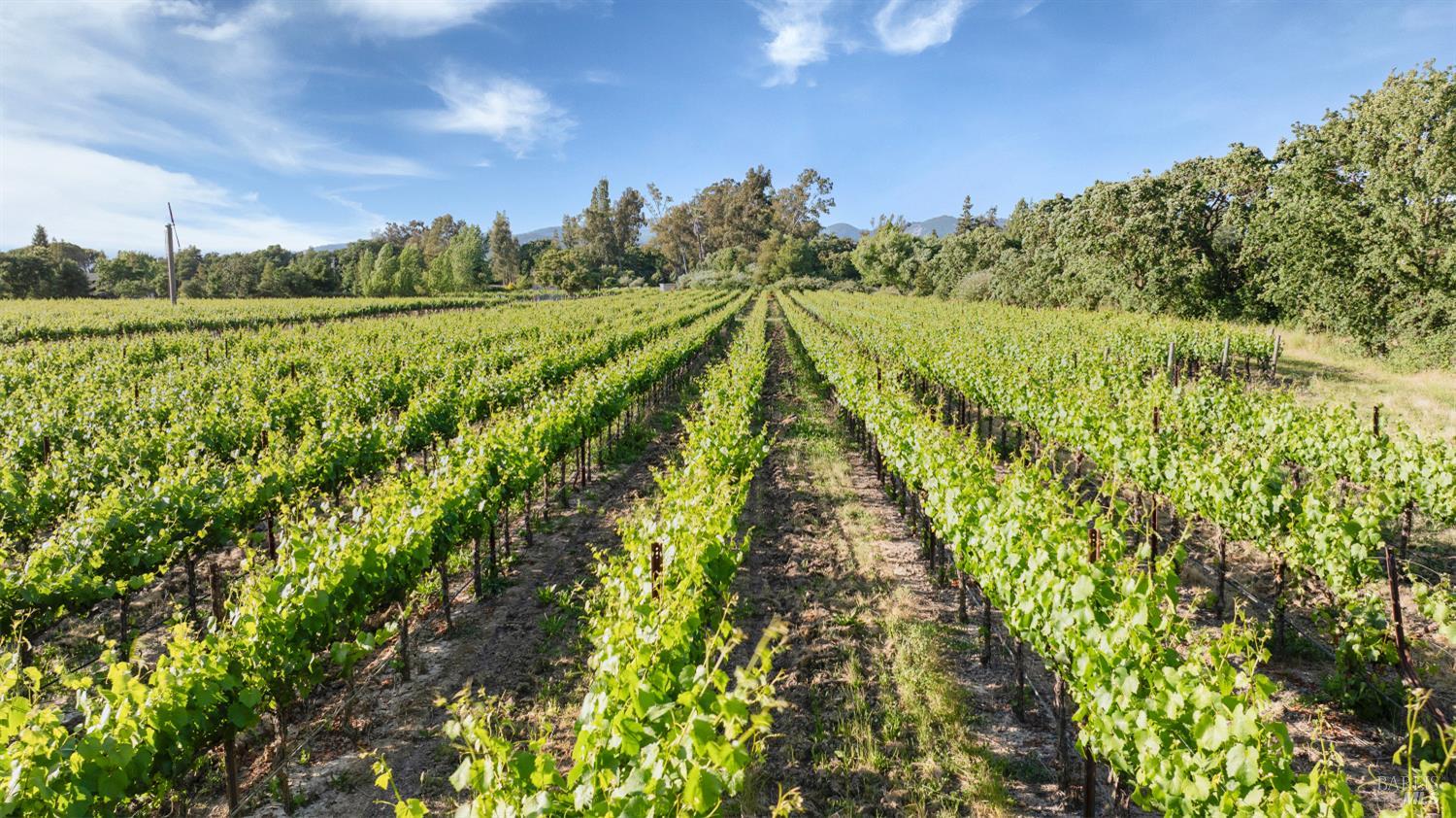 570 E Watmaugh Road Sonoma CA 95476