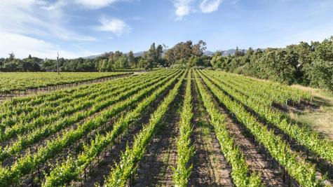 570 E Watmaugh Road Sonoma CA 95476