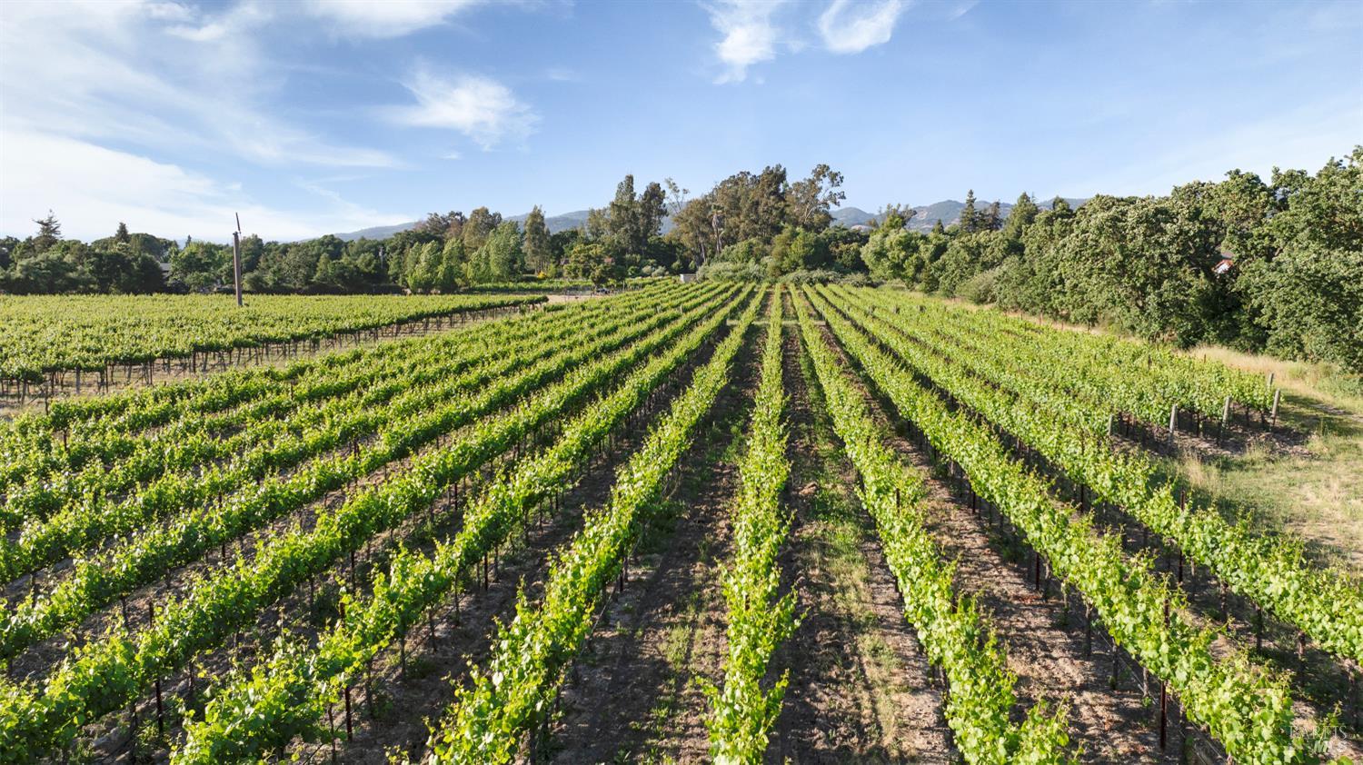 570 E Watmaugh Road Sonoma CA 95476