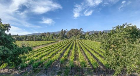 570 E Watmaugh Road Sonoma CA 95476
