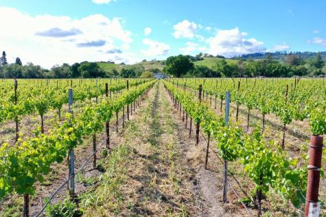 1695 Geysers Road Geyserville CA 95441