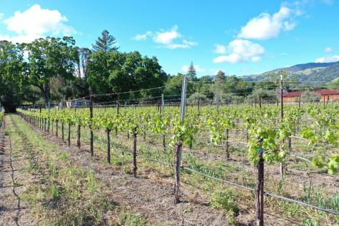 1695 Geysers Road Geyserville CA 95441