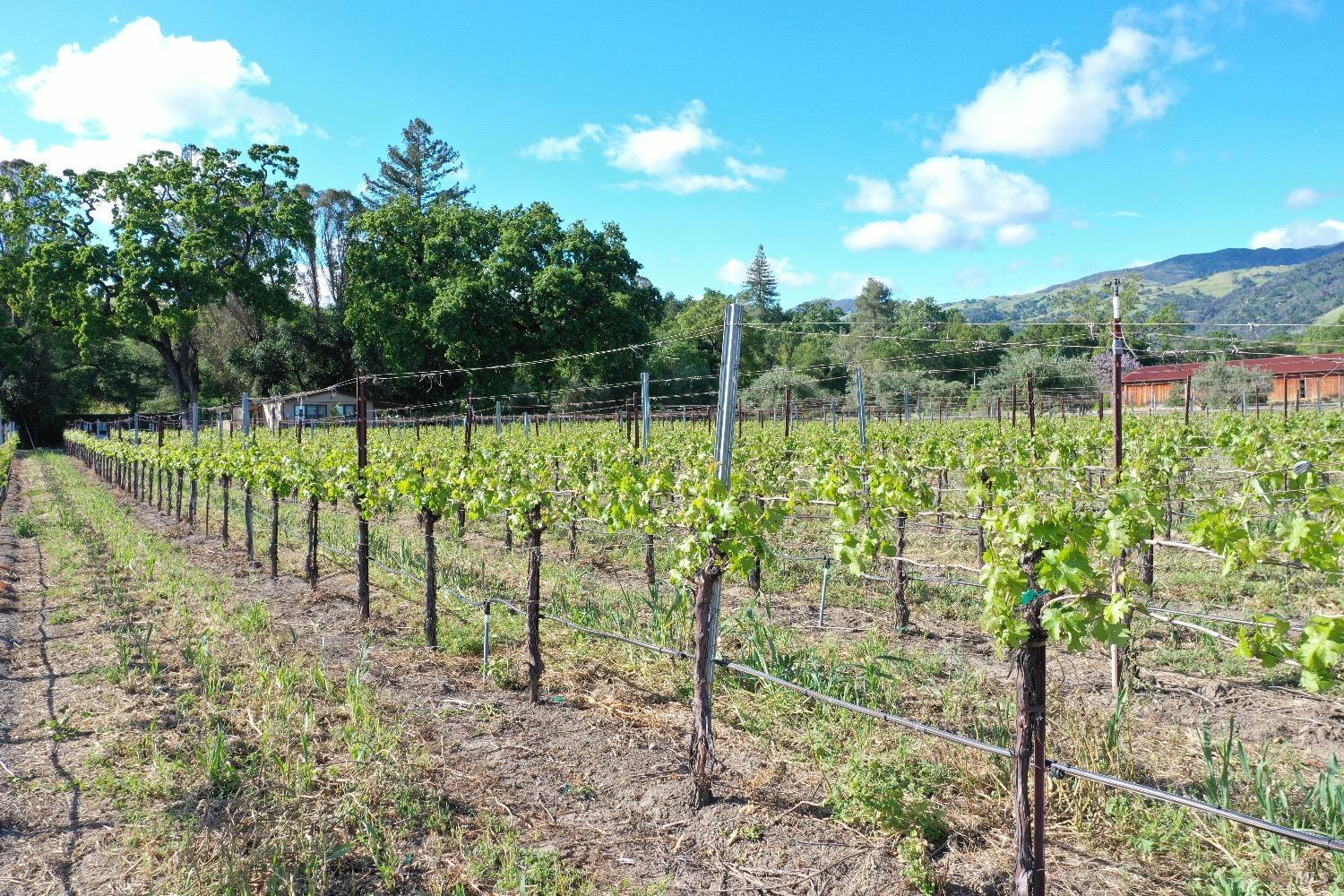 1695 Geysers Road Geyserville CA 95441