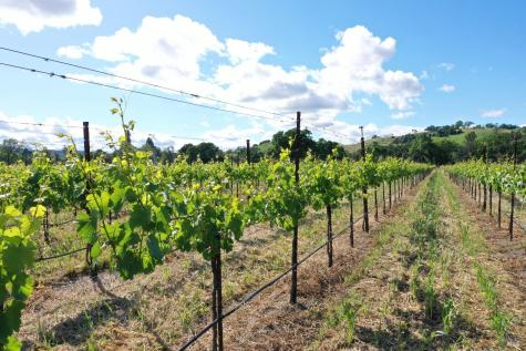 1695 Geysers Road Geyserville CA 95441