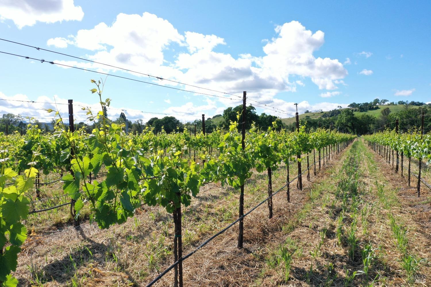 1695 Geysers Road Geyserville CA 95441