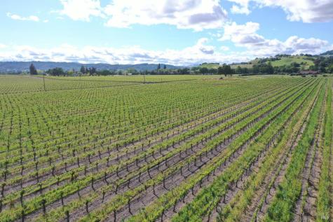 1695 Geysers Road Geyserville CA 95441