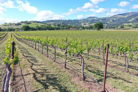 1695 Geysers Road Geyserville CA 95441