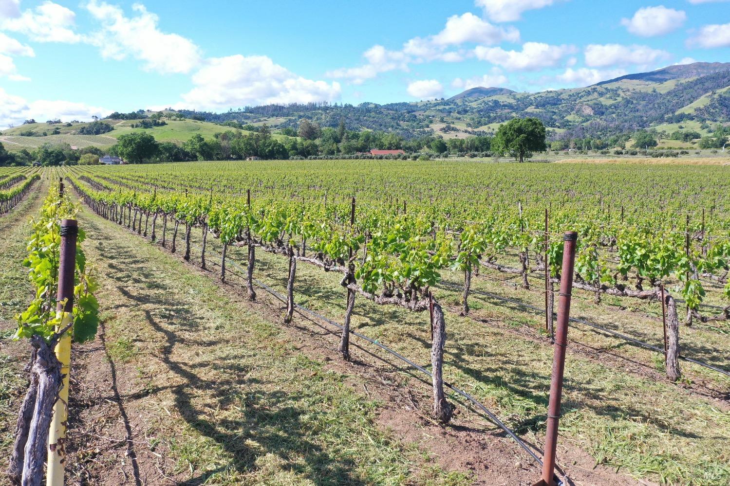 1695 Geysers Road Geyserville CA 95441