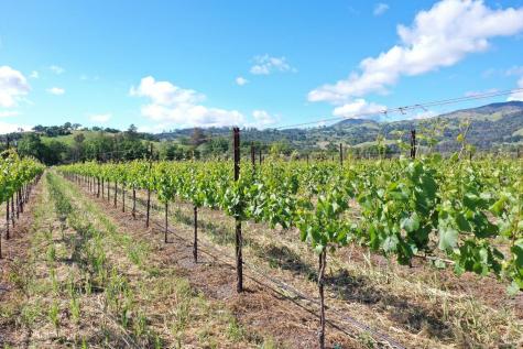 1695 Geysers Road Geyserville CA 95441