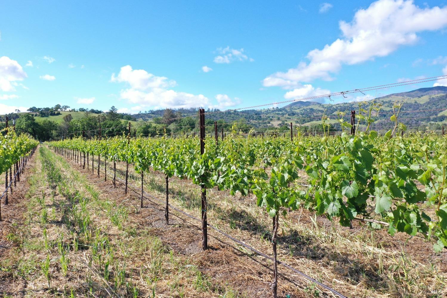 1695 Geysers Road Geyserville CA 95441