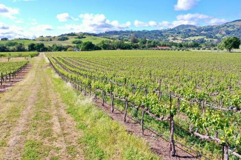 1695 Geysers Road Geyserville CA 95441