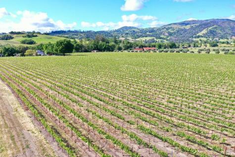 1695 Geysers Road Geyserville CA 95441
