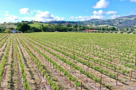 1695 Geysers Road Geyserville CA 95441