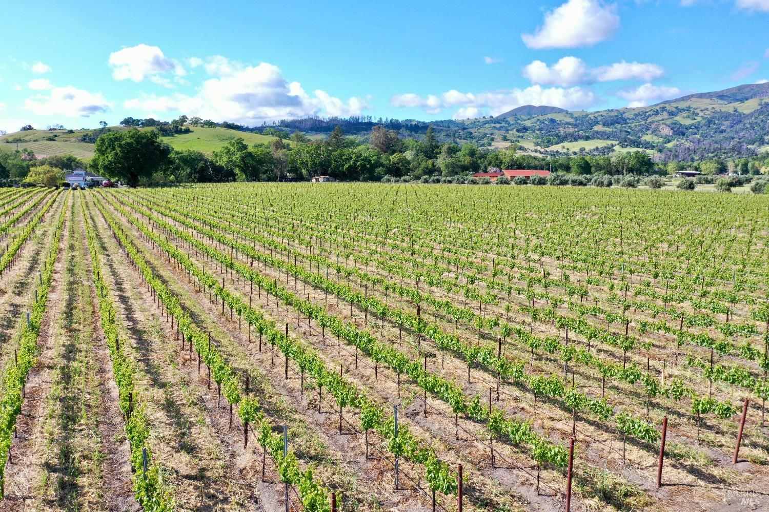 1695 Geysers Road Geyserville CA 95441