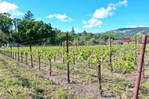 1695 Geysers Road Geyserville CA 95441
