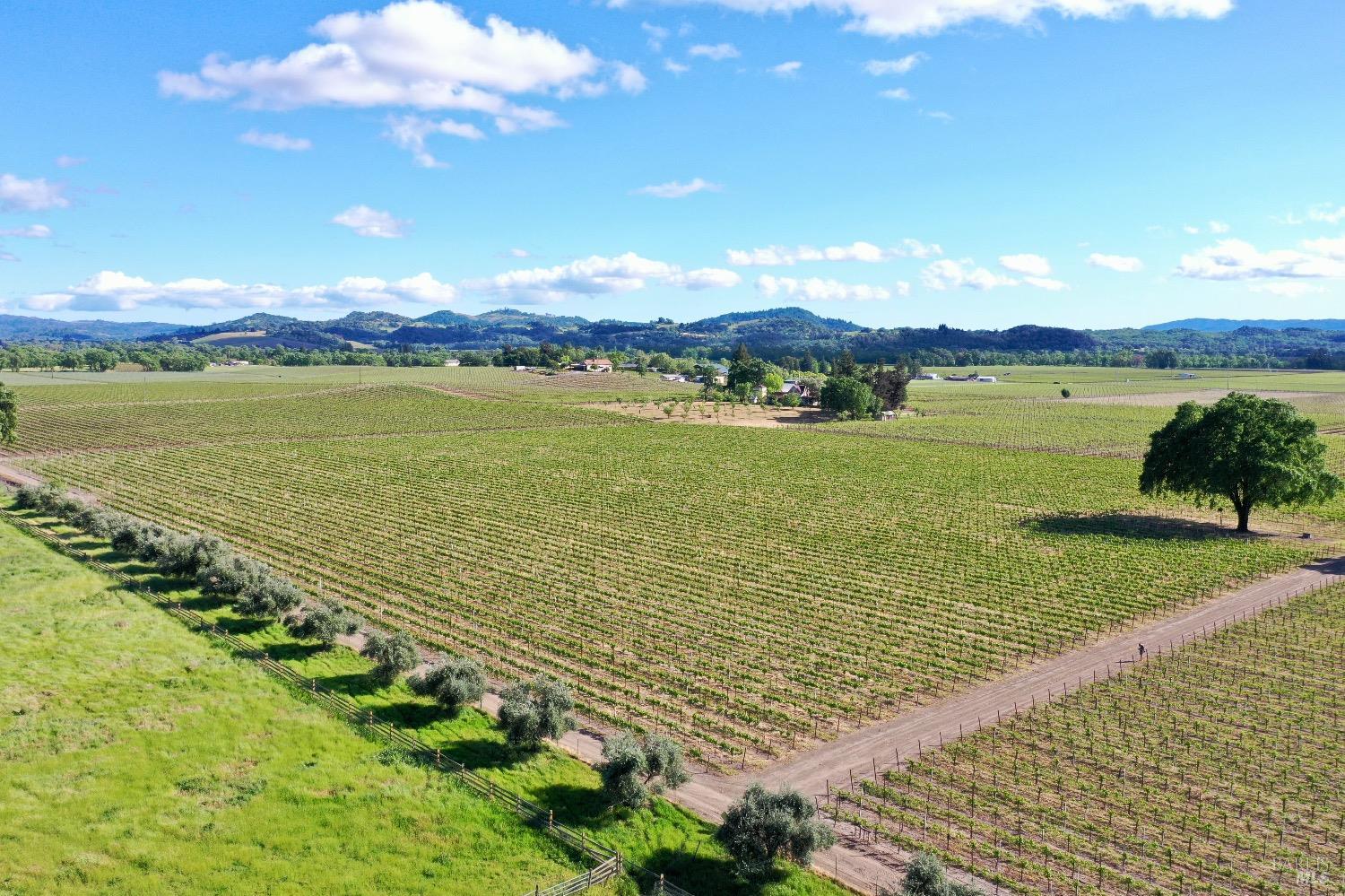 1695 Geysers Road Geyserville CA 95441