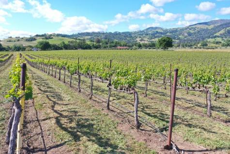 1695 Geysers Road Geyserville CA 95441