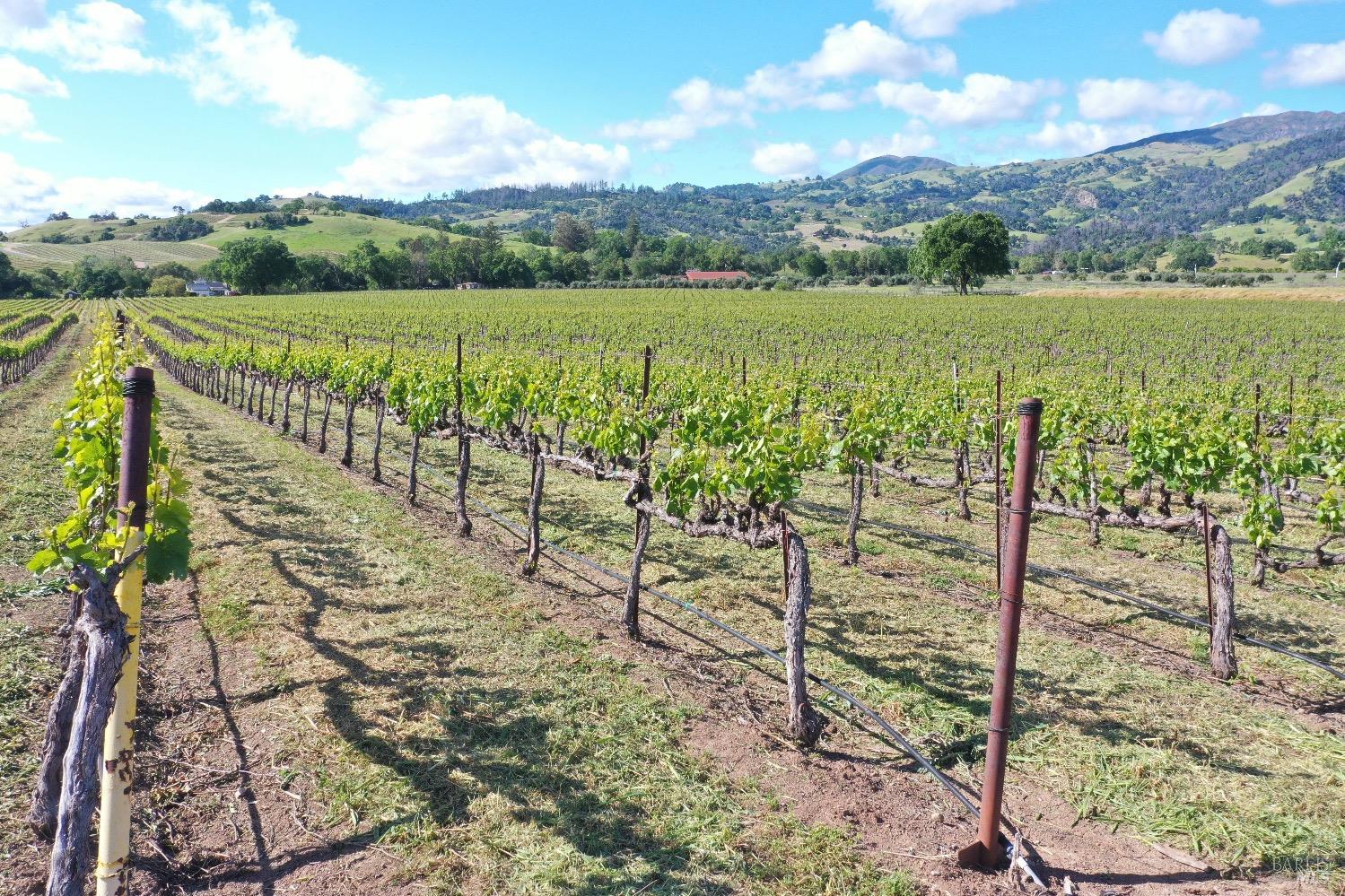 1695 Geysers Road Geyserville CA 95441