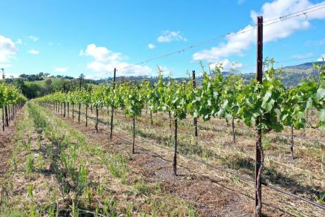 1695 Geysers Road Geyserville CA 95441