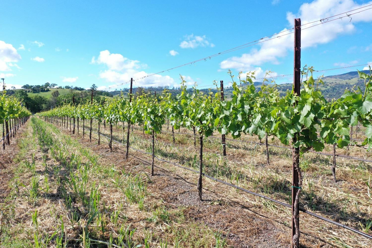 1695 Geysers Road Geyserville CA 95441