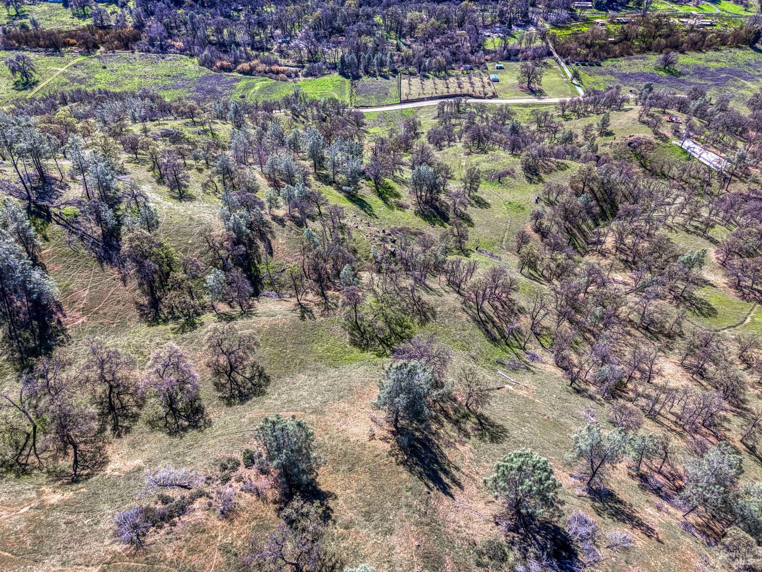 2393 New Long Valley Road Clearlake Oaks CA 95423