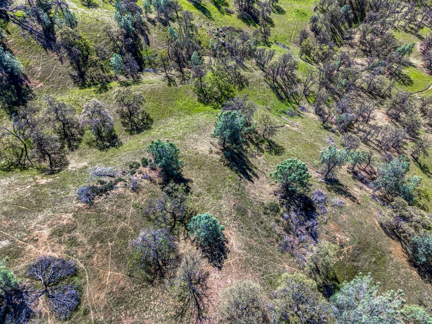 2393 New Long Valley Road Clearlake Oaks CA 95423
