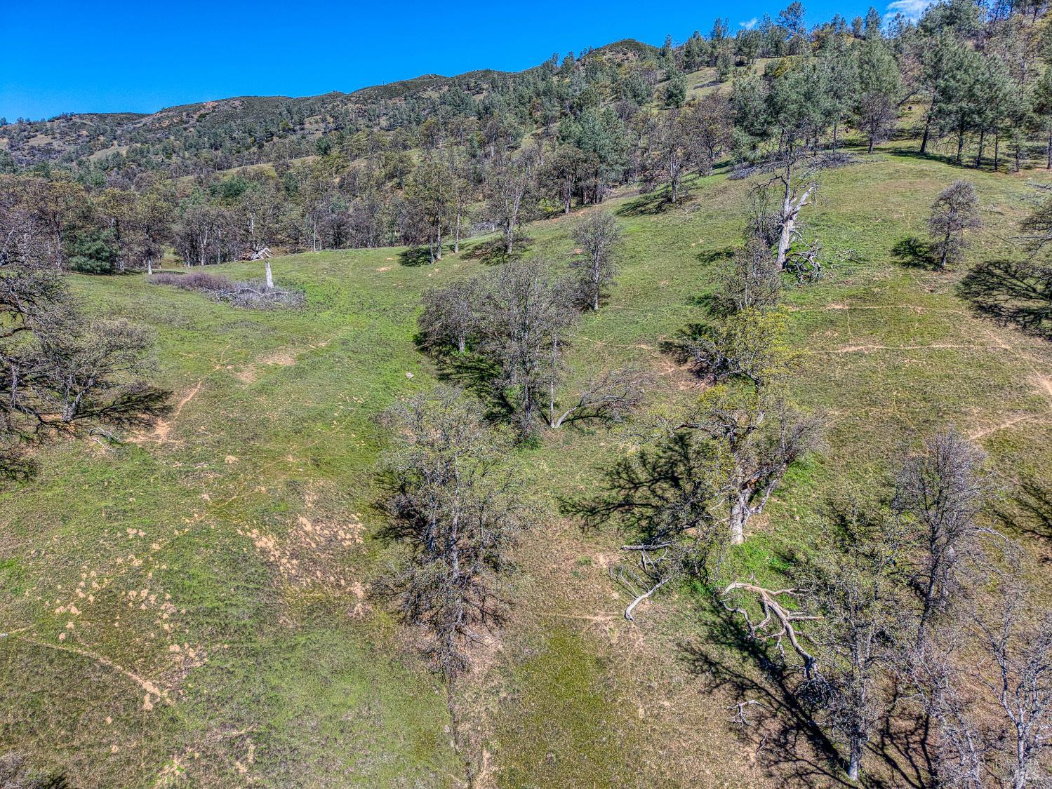 2393 New Long Valley Road Clearlake Oaks CA 95423