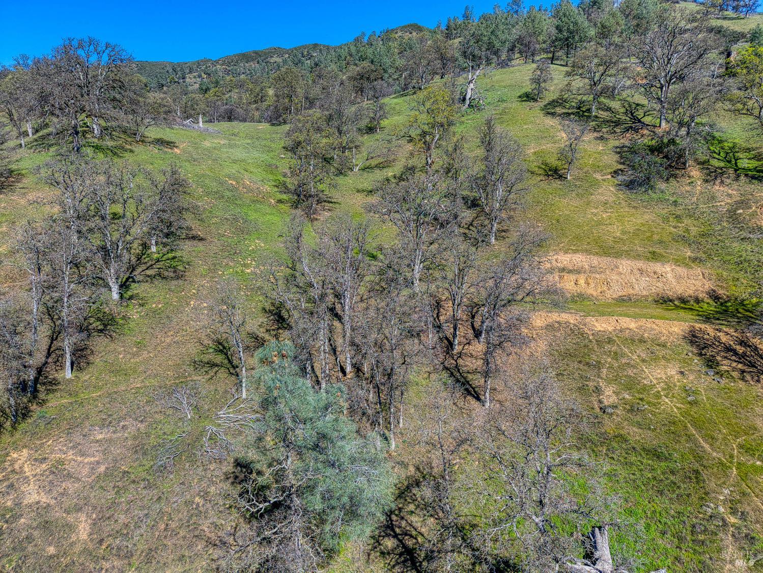 2393 New Long Valley Road Clearlake Oaks CA 95423