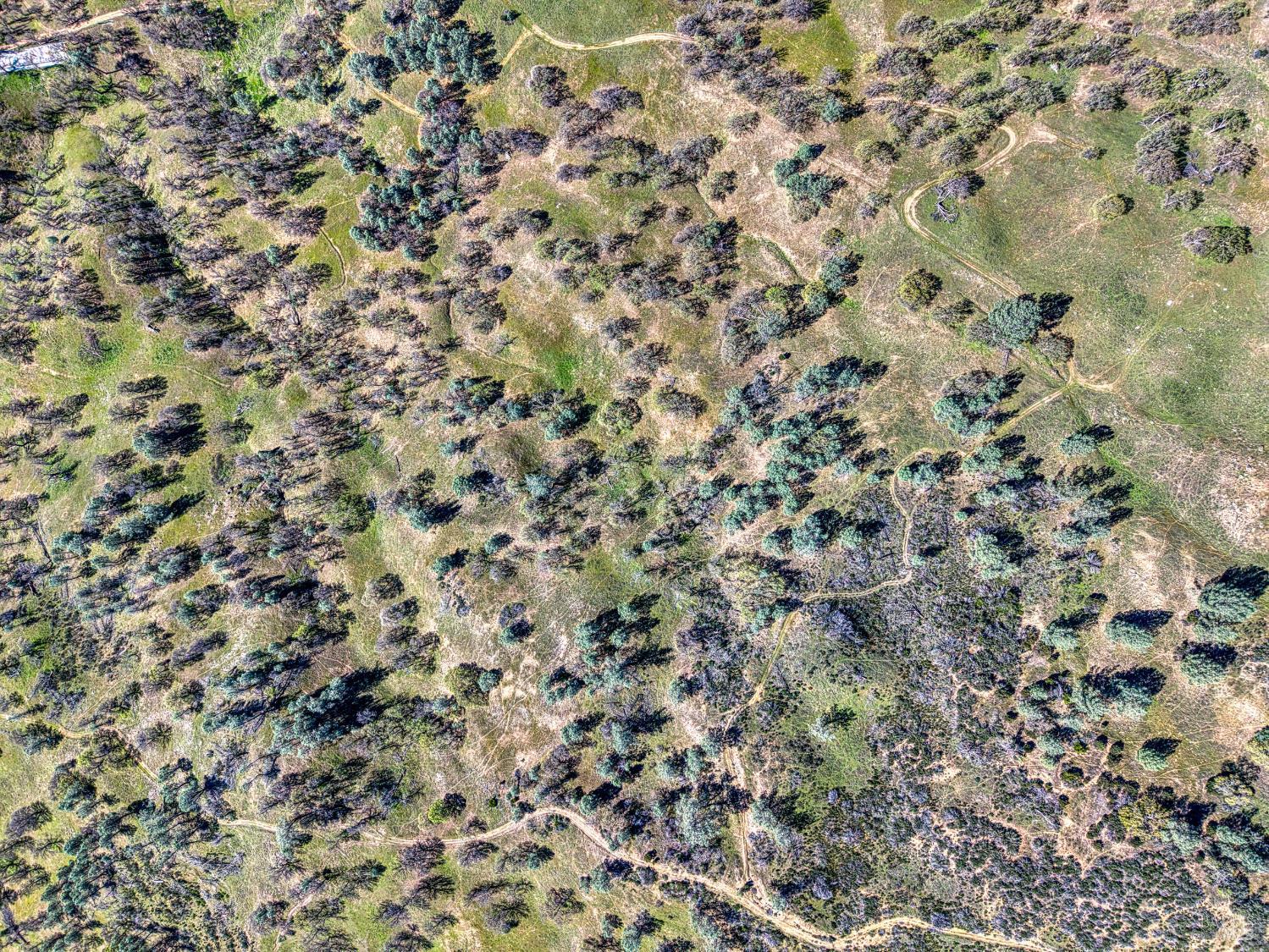 2393 New Long Valley Road Clearlake Oaks CA 95423